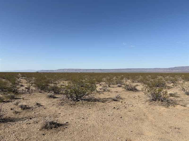 Owner Financing, No Credit Check : Golden Valley : Mohave County : Arizona