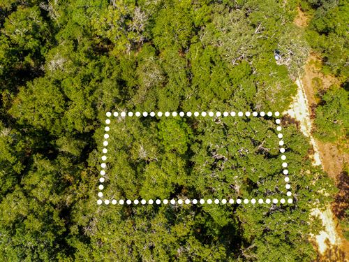 Wooded Hideaway, No HOA, $1 Down : Interlachen : Putnam County : Florida