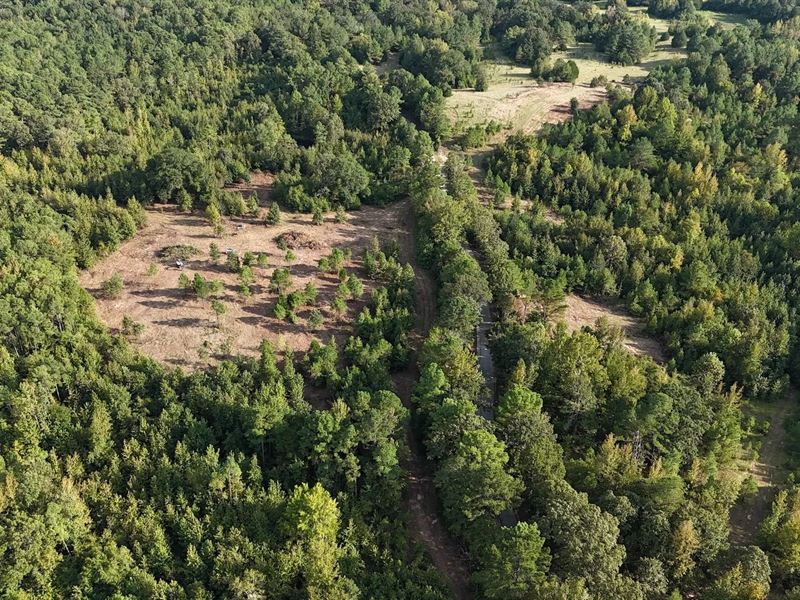 22.5 Tract B Acres in Lafayette : Oxford : Lafayette County : Mississippi