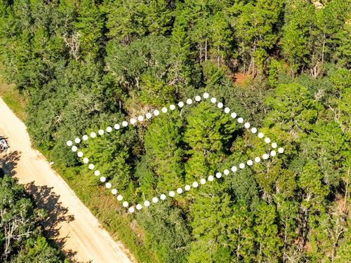 Peaceful Land, Near Lake, $1 Down : Interlachen : Putnam County : Florida
