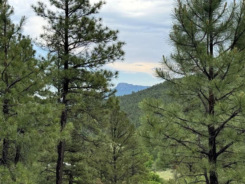 33161 Gallinas Parkway, Trinidad : Trinidad : Las Animas County : Colorado