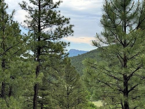33161 Gallinas Parkway, Trinidad : Trinidad : Las Animas County : Colorado