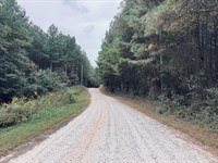 38 Acres, Elbert County, Georg : Dewy Rose : Elbert County : Georgia