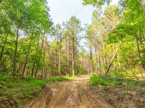 As Low as $499 Down : Lexington : Henderson County : Tennessee