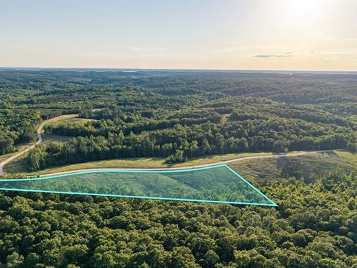8.3 Wooded Acres, Access & No HOA : Dover : Stewart County : Tennessee