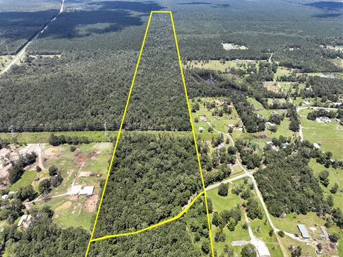 158 Acres, T-1, County Road 821 : Mauriceville : Jasper County : Texas