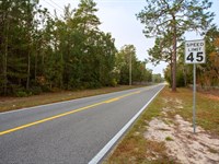 Build Smart, Real Land, Real Cheap : Florahome : Putnam County : Florida