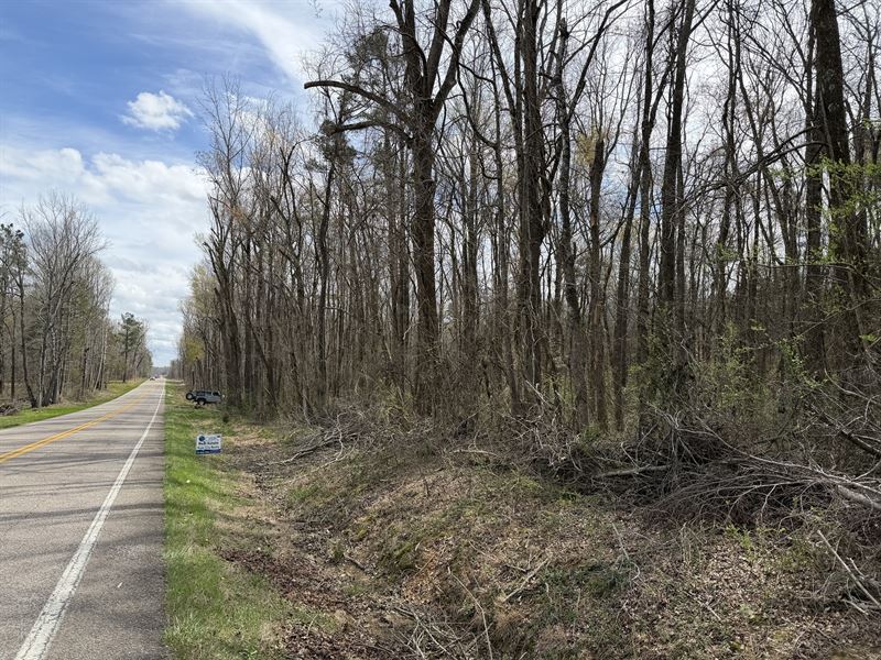 Wooded Land for Sale, Hardin County : Milledgeville : Hardin County : Tennessee
