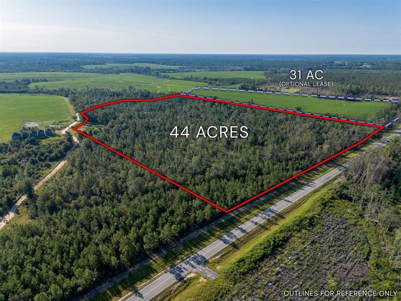 Wooded Country Retreat, 44 Acres : Hazlehurst : Jeff Davis County : Georgia