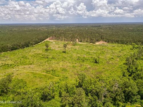 Land For Sale in Amite County, MS : Liberty : Amite County : Mississippi