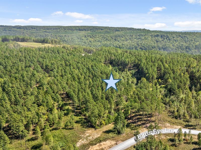 2.83 Acre Site in River Gorge Ranch : Guild : Marion County : Tennessee