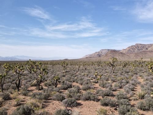 2.5 Acres Bordering 1,280 Acres : Meadview : Mohave County : Arizona