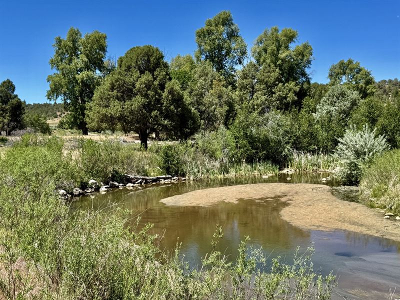 River Valley Estates Lots 29 & 30 : Durango : La Plata County : Colorado