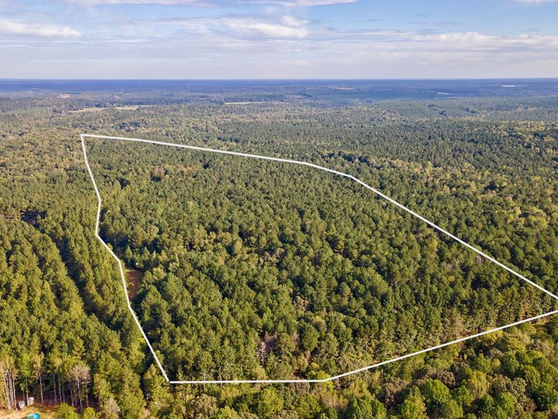 Lower Wirebridge Road Tract : Stephens : Oglethorpe County : Georgia