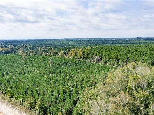 As Low as $499 Down : McCool : Attala County : Mississippi