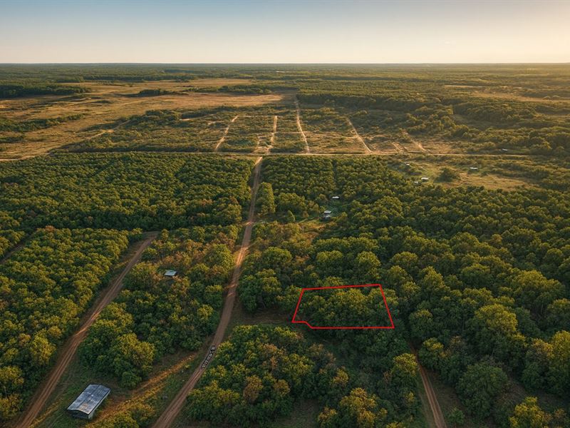 .76 Acre Gated Wooded Retreat : Hempstead : Waller County : Texas