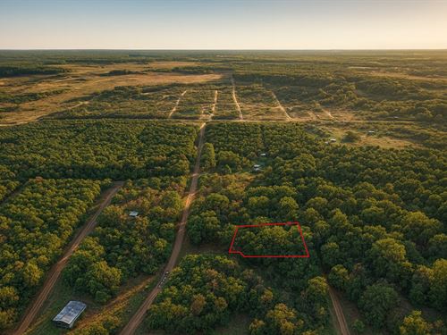 .76 Acre Gated Wooded Retreat : Hempstead : Waller County : Texas
