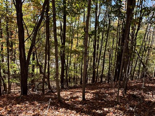 Southern Tier Camp Lot : New Berlin : Chenango County : New York