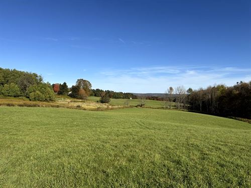 Southern Tier Home or Hunting Camp : New Berlin : Chenango County : New York