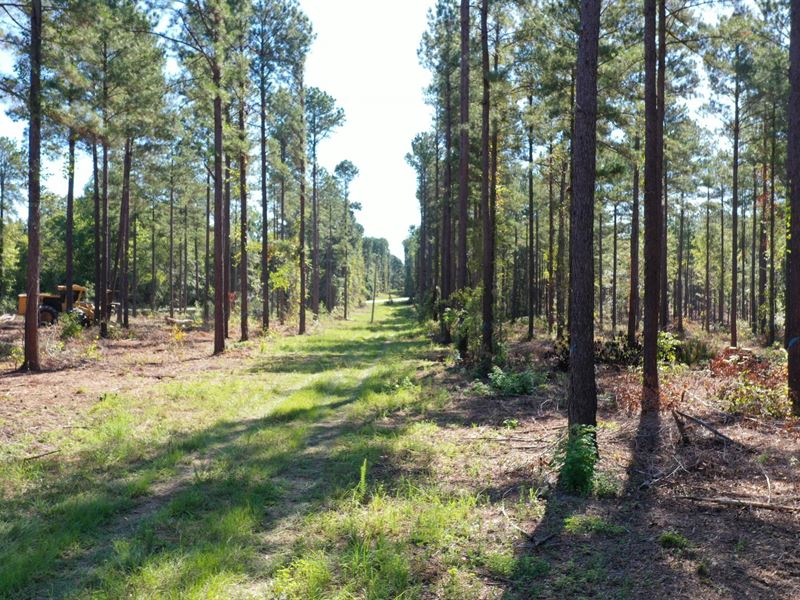 O'quinns Pond Farm, 6.65 Acres : Milledgeville : Baldwin County : Georgia