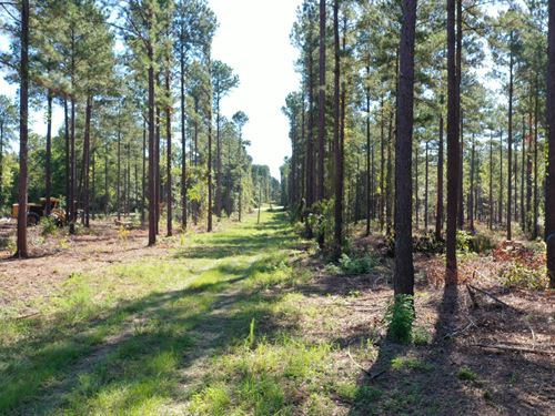 O'quinns Pond Farm, 5.0 Acres : Milledgeville : Baldwin County : Georgia