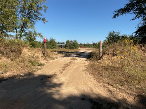 Bell Crossing Rd Tract RV 78 Acres : Opp : Crenshaw County : Alabama