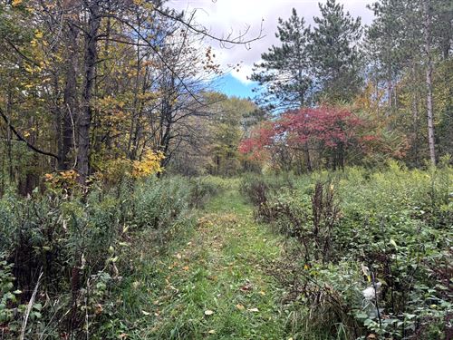 Hunting or Fishing Camp Lot : Orwell : Oswego County : New York