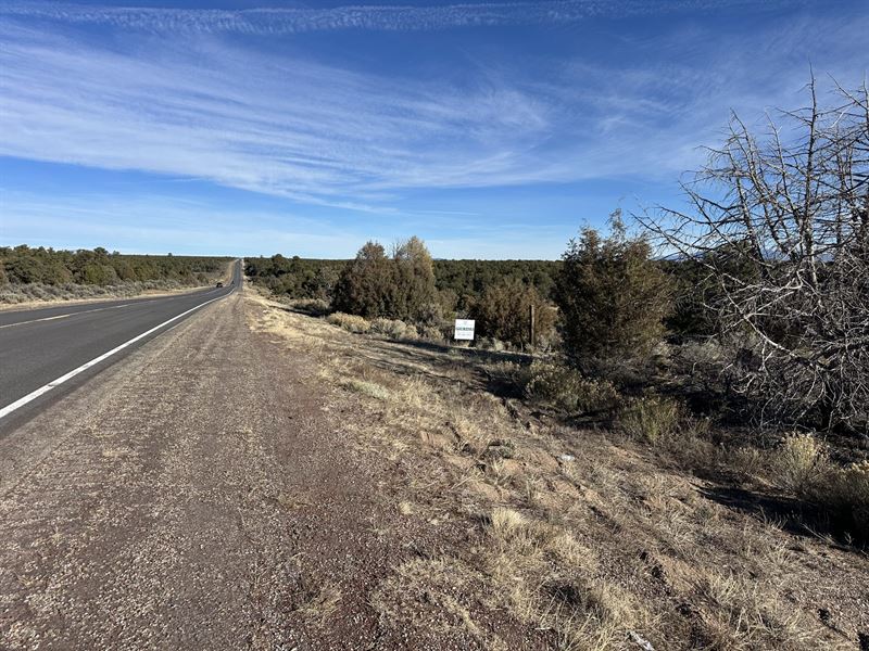 Taos Connection : Ojo Caliente : Taos County : New Mexico