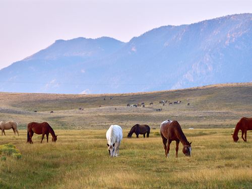 Sheep Mountain Ranch, Tract 2 : Laramie : Albany County : Wyoming