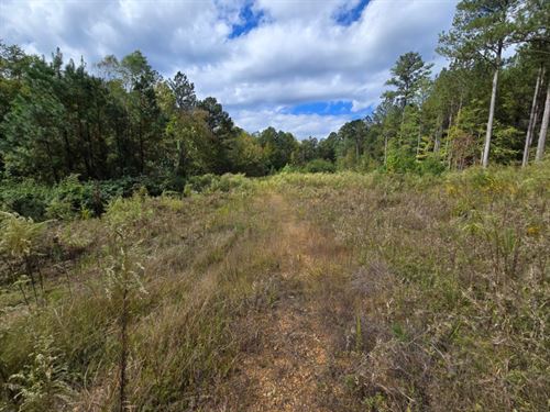 Sandy Creek : Centre : Cherokee County : Alabama
