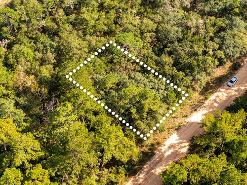 Peaceful Lot, Road Access, $1 Down : Interlachen : Putnam County : Florida