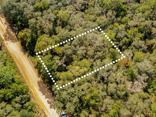 Near Lake, Affordable Lot, $1 Down : Interlachen : Putnam County : Florida