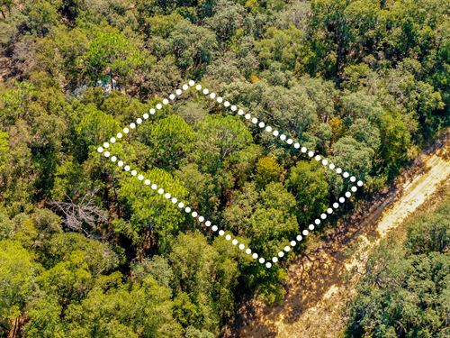 Private Lot, Nature Escape, $1 Down : Interlachen : Putnam County : Florida