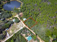 Backs to Forest, Mobile Homes OK : Umatilla : Marion County : Florida