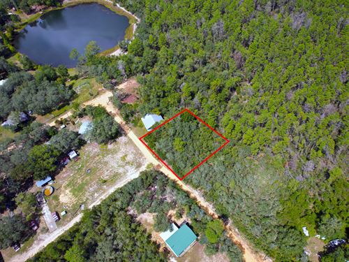 Backs to Forest, Mobile Homes OK : Umatilla : Marion County : Florida