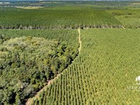 2,175 Ac Mega-Site Industrial Zonin : Campbellton : Jackson County : Florida