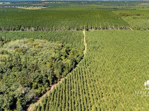 2,175 Ac Mega-Site Industrial Zonin : Campbellton : Jackson County : Florida