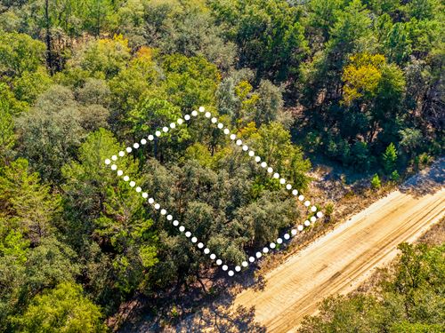 Quiet, Affordable Lot, $1 Down : Interlachen : Putnam County : Florida