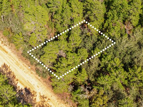 Wooded Hideaway, Near Lake, $1 Down : Interlachen : Putnam County : Florida