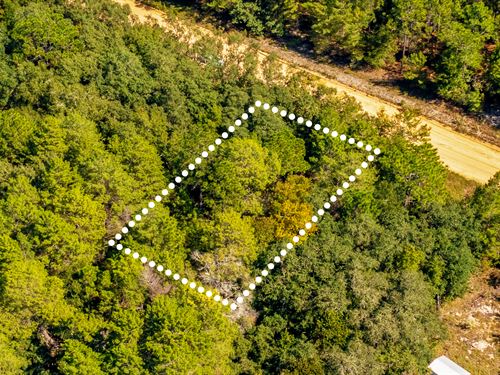 Affordable, Shaded Lot, $1 Down : Interlachen : Putnam County : Florida