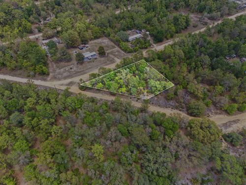Affordable Land in Fl, $283/Mo : Interlachen : Putnam County : Florida