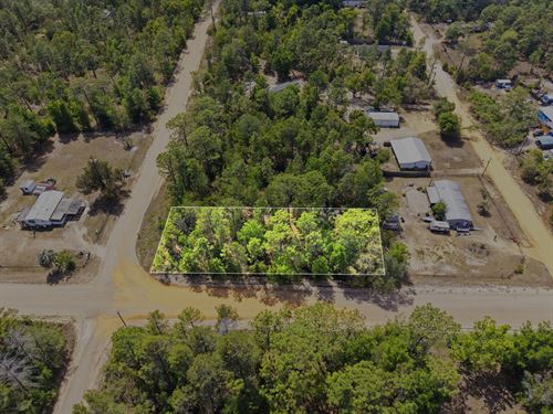 Build Your Dream $323/Mo : Interlachen : Putnam County : Florida