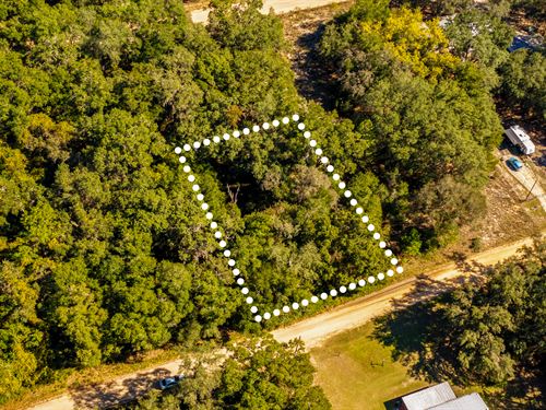 Woodland Haven, Near Lake, $1 Down : Interlachen : Putnam County : Florida