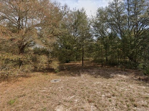 Your Slice of Sunshine at $49 Down : Interlachen : Putnam County : Florida