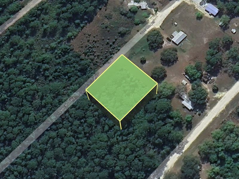 Grab Satsuma Gem Just $99 Down : Satsuma : Putnam County : Florida