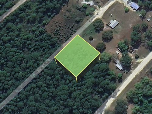Grab Satsuma Gem Just $99 Down : Satsuma : Putnam County : Florida