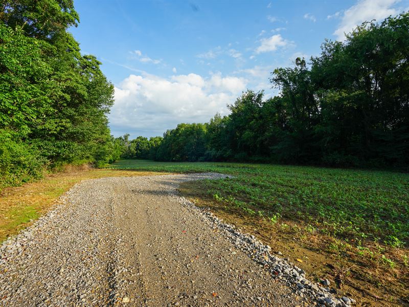Twp Rd 51 Lot 5 13.03 : Somerset : Perry County : Ohio