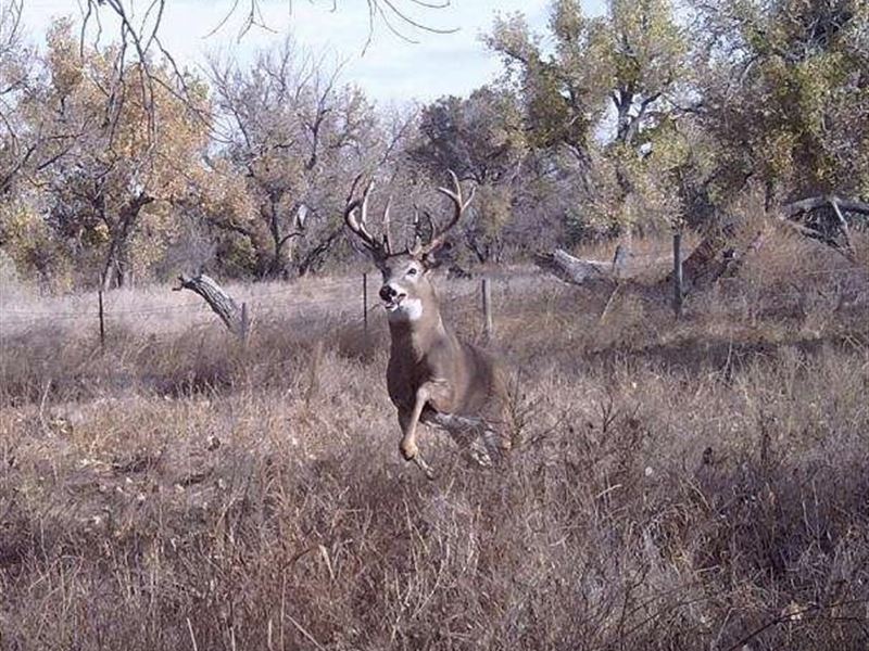 Sterling South Platte 115 : Sterling : Logan County : Colorado