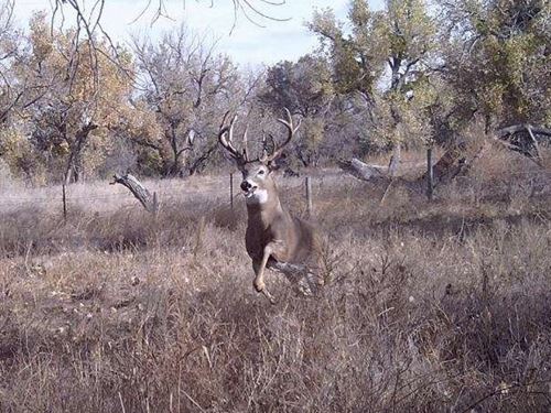 Sterling South Platte 115 : Sterling : Logan County : Colorado