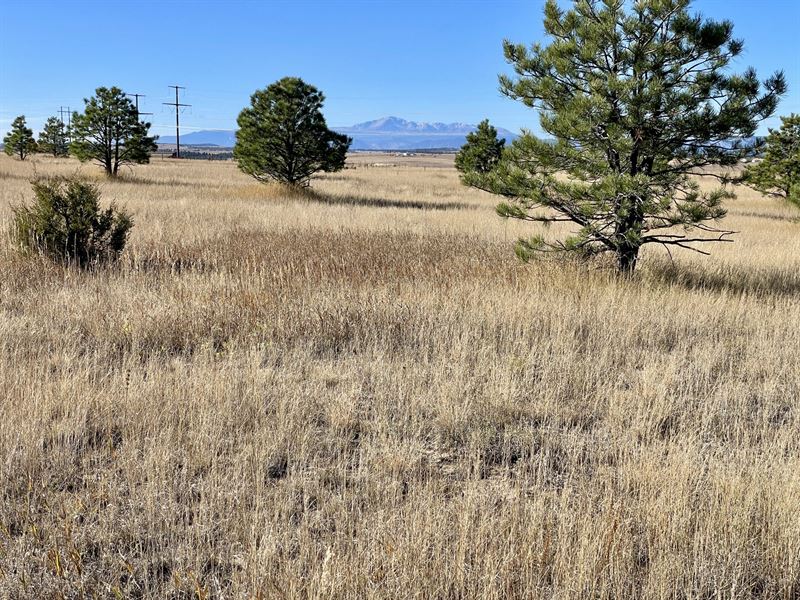 Rkr Ranch 50 : Elbert : Elbert County : Colorado